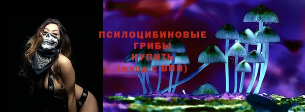альфа пвп Белокуриха