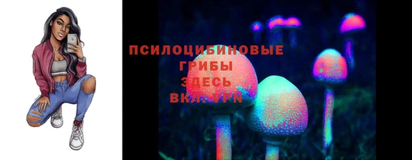 бошки Беломорск