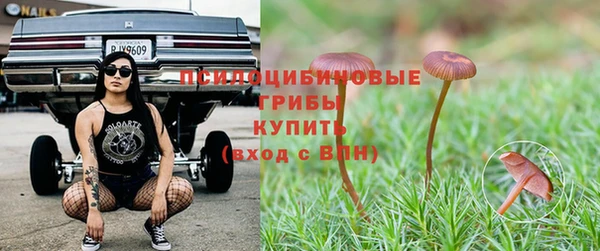 бошки Беломорск