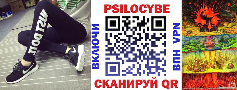 закладки Чегем Псилоцибиновые грибы Psilocybe
