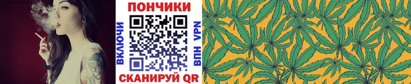 кракен маркетплейс  Чегем  Шишки марихуана гибрид 